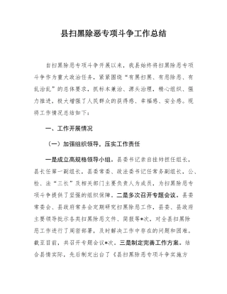 县扫黑除恶专项斗争工作总结.docx