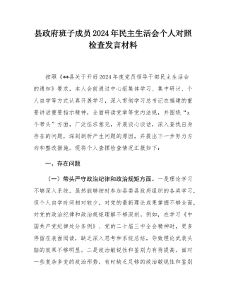 县政府班子成员2024年民主SH会个人对照检查发言材料.docx
