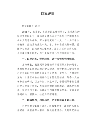 乡镇镇长自我评价材料.docx