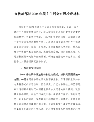 宣传部部长2024年民主SH会对照检查材料.docx
