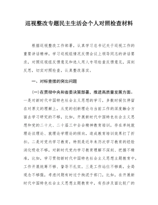 巡视整改专题民主SH会个人对照检查材料.docx