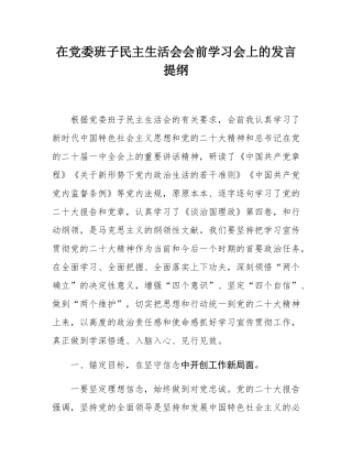 在党委班子民主SH会会前学习会上的发言提纲.docx
