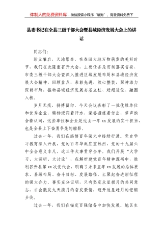 在全县三级干部大会暨县域经济发展大会上的讲话