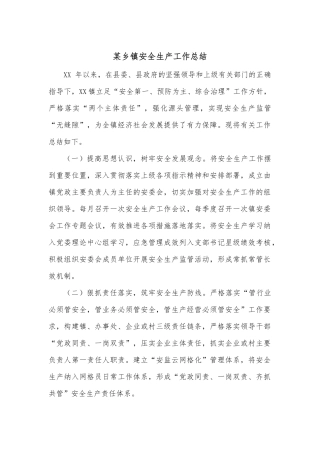 某乡镇安全生产工作总结