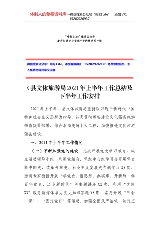 X县市场监管局上半年工作总结和下半年工作思路