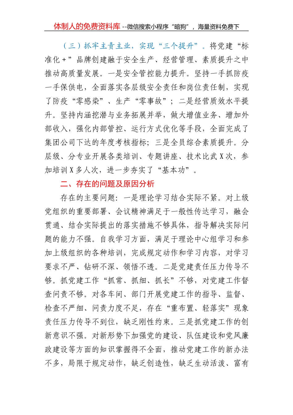 20年党委工作报告_第3页