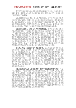 研讨发言：为铸牢中华民族共同体意识提供坚实的文化支撑