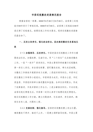 市委巡视整改进展情况报告