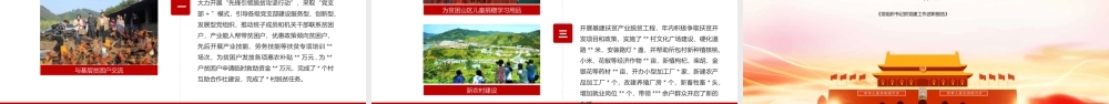 2020年党政机关总结模板
