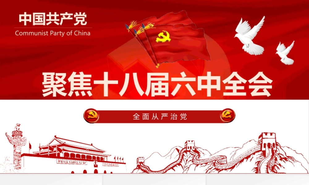 十九大精细解读