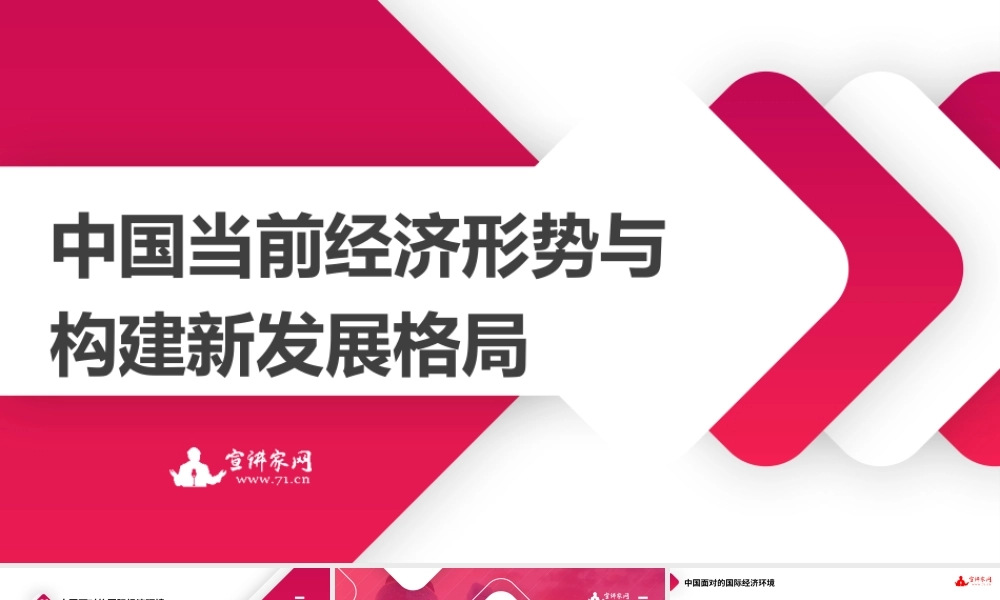 “智囊团”系列№75洪向华：不忘初心 牢记使命 永远奋斗