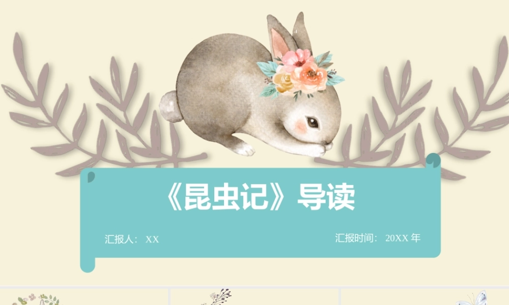 读书分享-皮囊