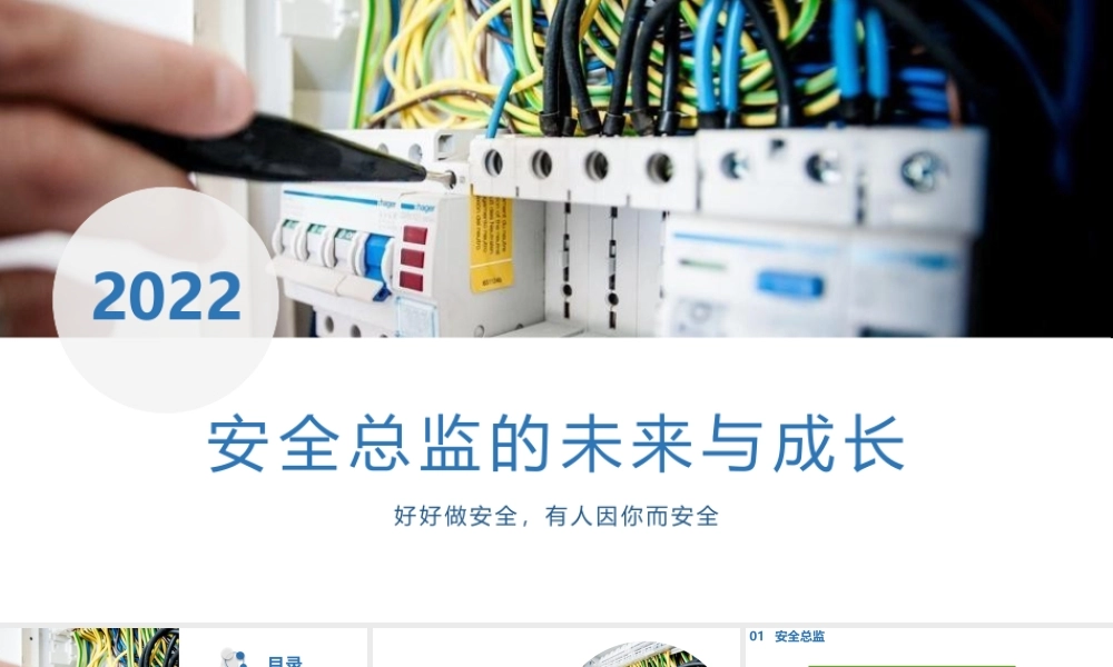 安生产工作总结及计划