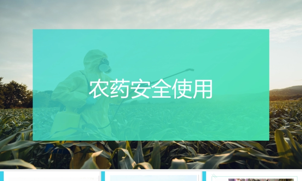 配电箱常见问题治理