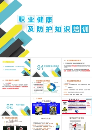 职业健康及防护知识培训