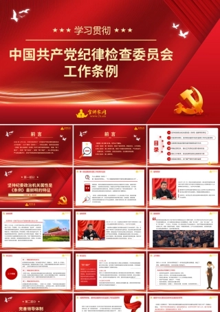 党课：学习贯彻《中国共产党纪律检查委员会工作条例》