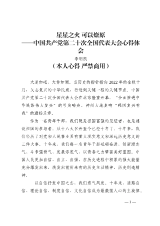 二十大报告心得：星星之火 可以燎原202210