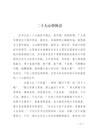 观看党的二十大心得体会 (2)202210