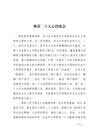 观看二十大心得体会 (1)202210