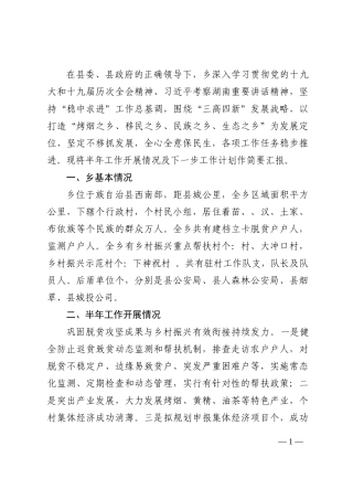 乡人民政府2022年上半年工作汇报202210