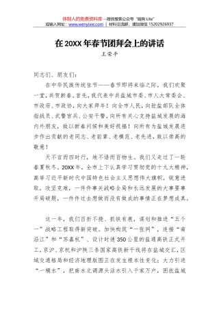 林虹：在20XX年春节团拜会上的讲话