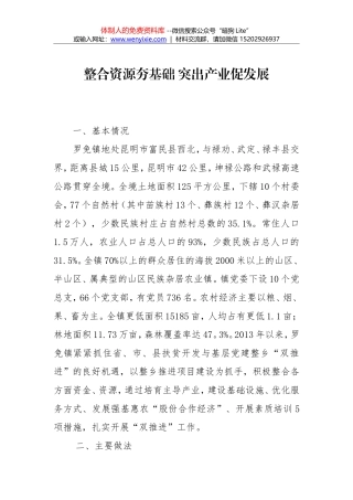 整合资源夯基础  突出产业促发展