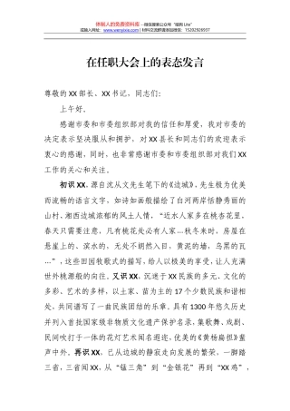 新任政府领导表态发言