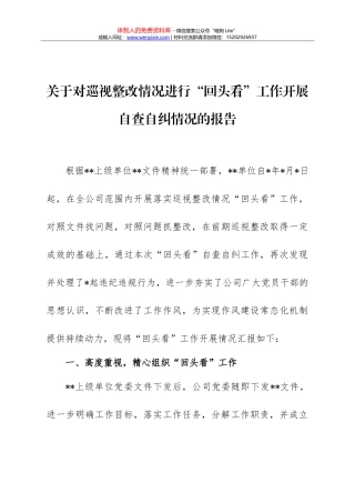 关于对巡视整改情况进行“回头看”工作开展自查自纠情况的报告