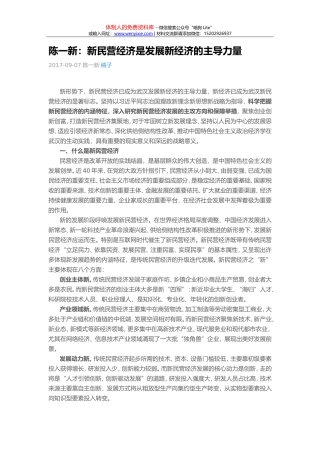 新民营经济是发展新经济的主导力量