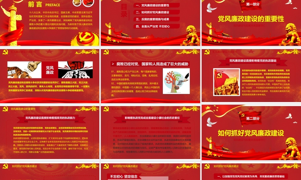 全面从严治党抓好党风廉政建设工作汇报