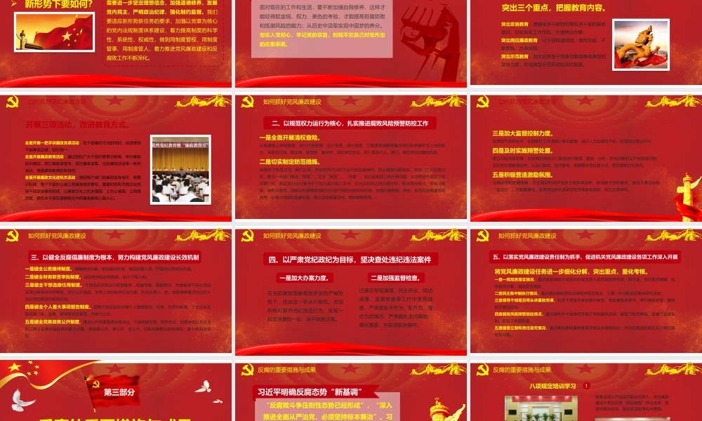 全面从严治党抓好党风廉政建设工作汇报