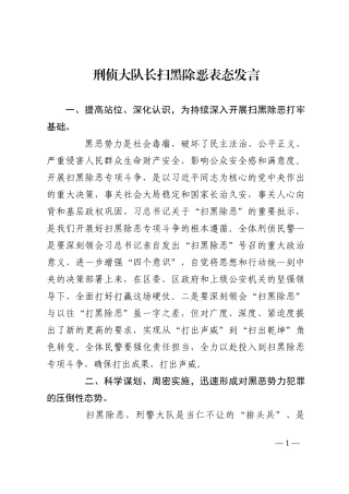 刑侦大队长扫黑除恶表态发言