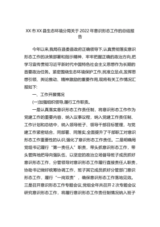 XX市XX县生态环境分局关于2022年ysxt工作的总结报告