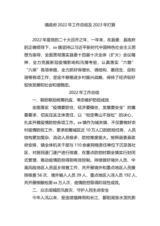 镇政府2022年工作总结及2023年打算