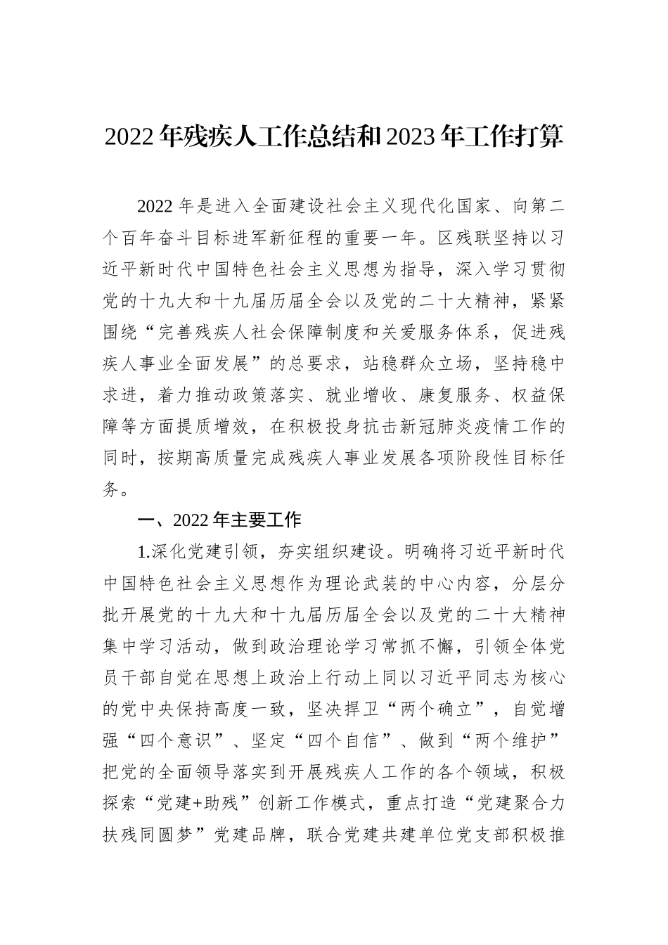 2022年残疾人工作总结和2023年工作打算汇编（5篇）_第2页
