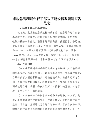 市应急管理局年轻干部队伍建设情况调研报告范文202210