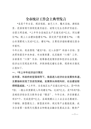 全市统计工作会上典型发言202210