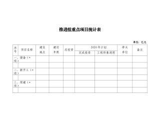 推进组重点项目统计表