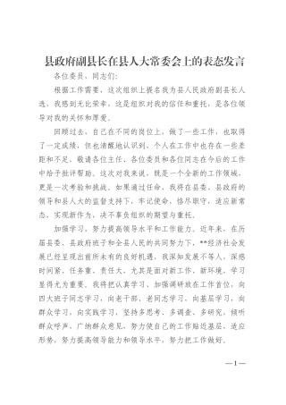 县政府副县长在县人大常委会上的表态发言202210