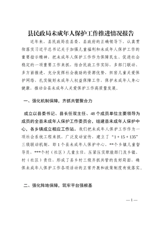县民政局未成年人保护工作推进情况报告202210