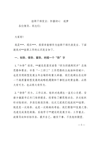 挂职干部发言：怀揣初心  逐梦202210