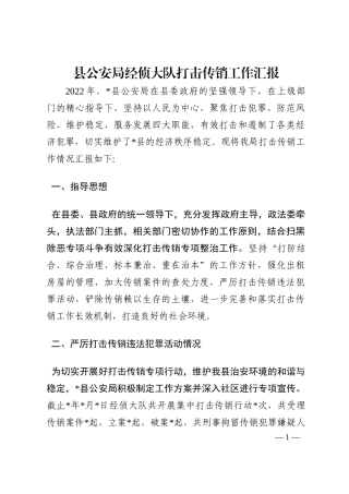 县公安局经侦大队打击传销工作汇报202210