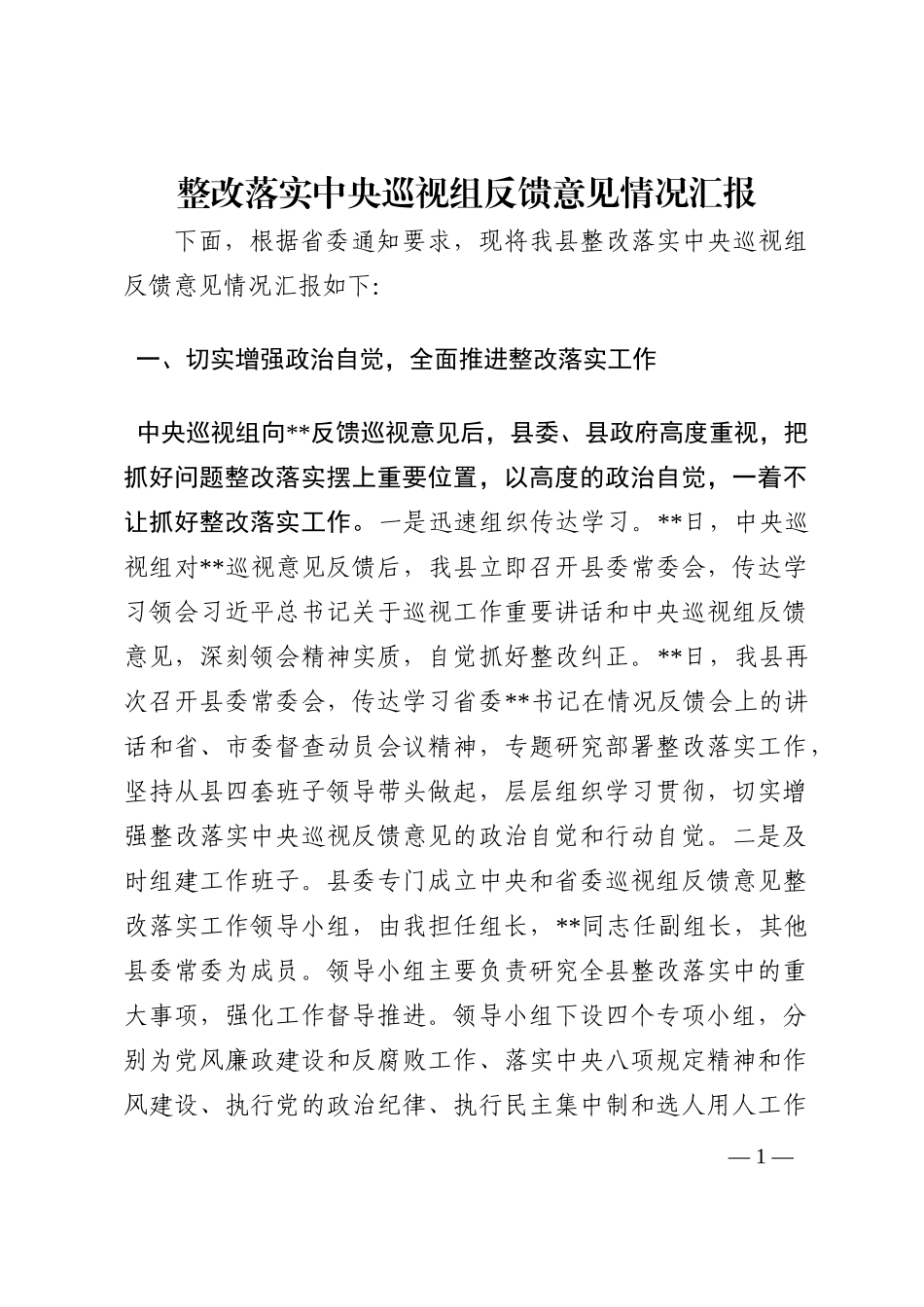 整改落实中央巡视组反馈意见情况汇报202210_第1页