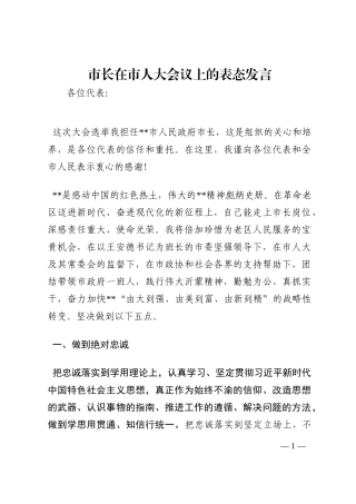 市长在市人大会议上的表态发言202210