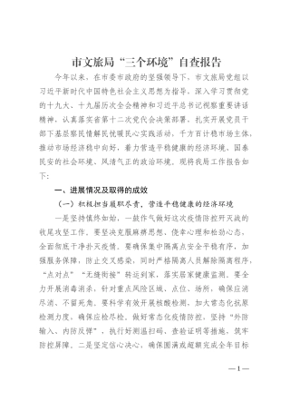市文旅局“三个环境”自查报告202210
