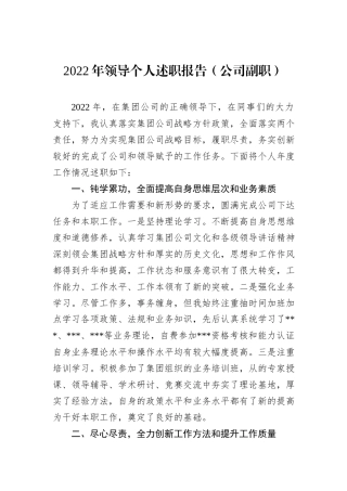 2022年领导个人述职报告（公司副职）