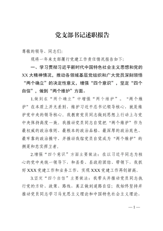 党支部书记述职报告