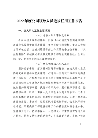 2022年度公司领导人员选拔任用工作报告