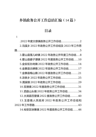 2022年乡镇政务公开工作总结汇编（14篇）