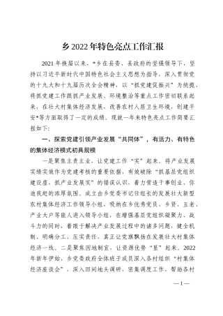 乡2022年特色亮点工作汇报